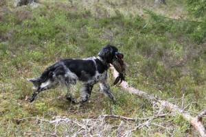 IMG_6324.JPG
