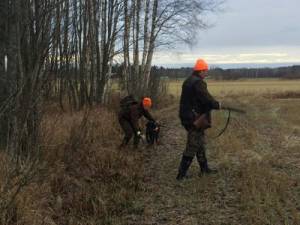 IMG-20191116-WA0009.jpg